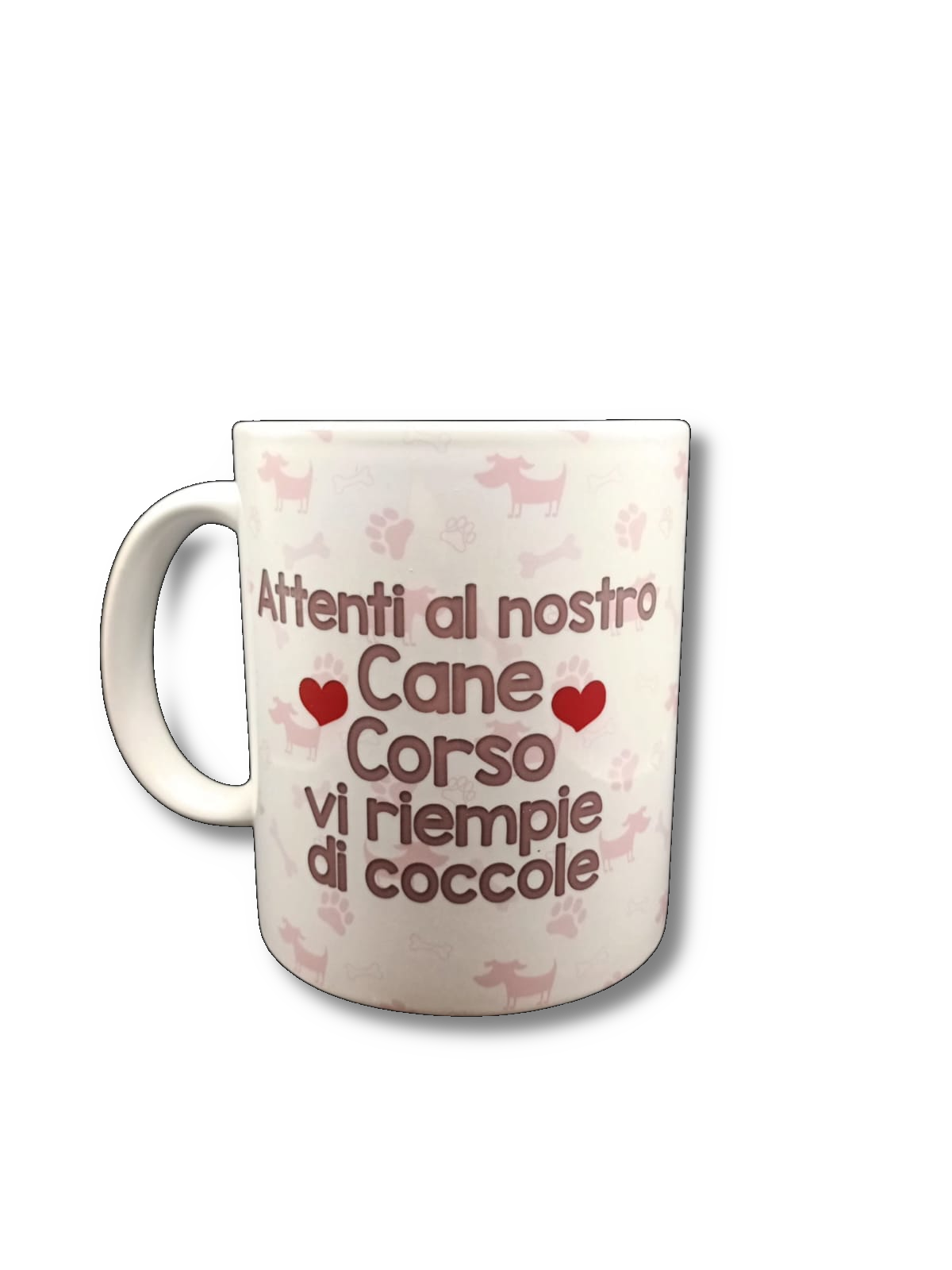 Amici Animali: Corso