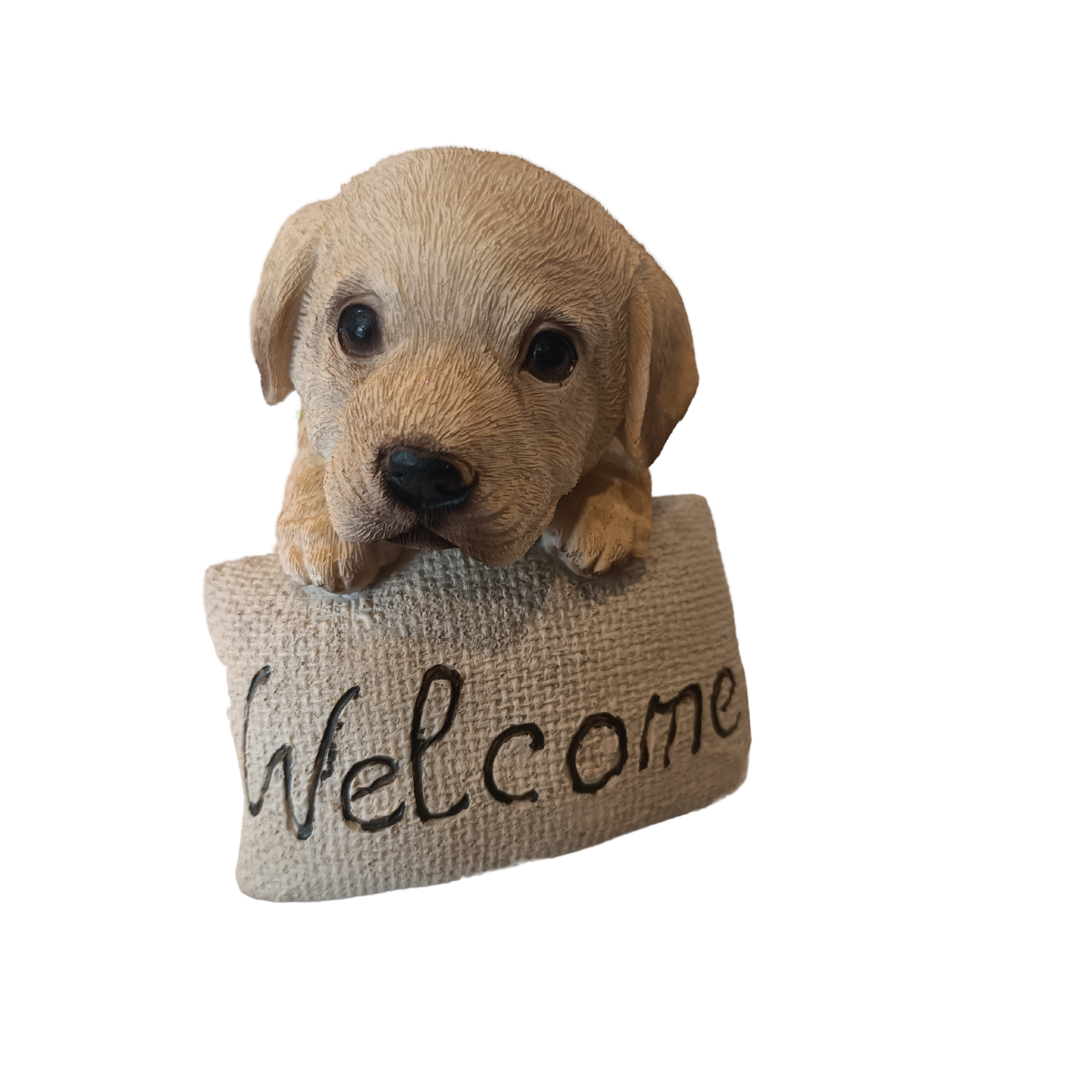 Statuina Gongolante Labrador Retriver