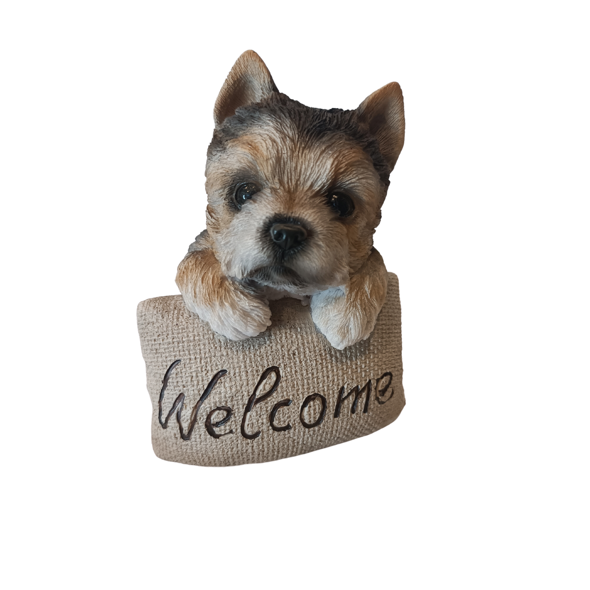 Statuina Gongolante Yorkshire Terrier